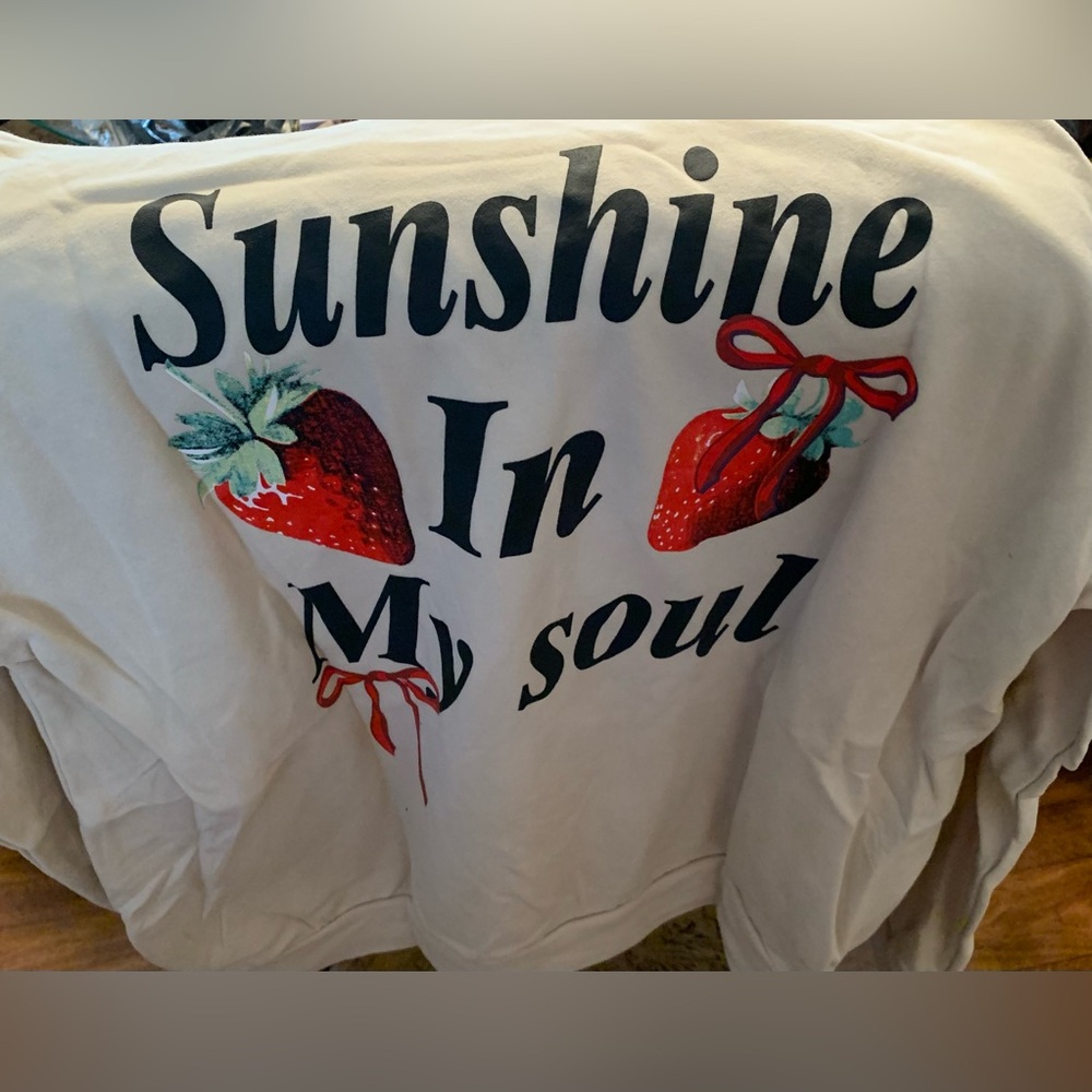 NWT Easel S Sunshine in My Soul Hoodie in Beige Sweatshirt Strawberry 🍓 Pullover - Picture 8 of 9